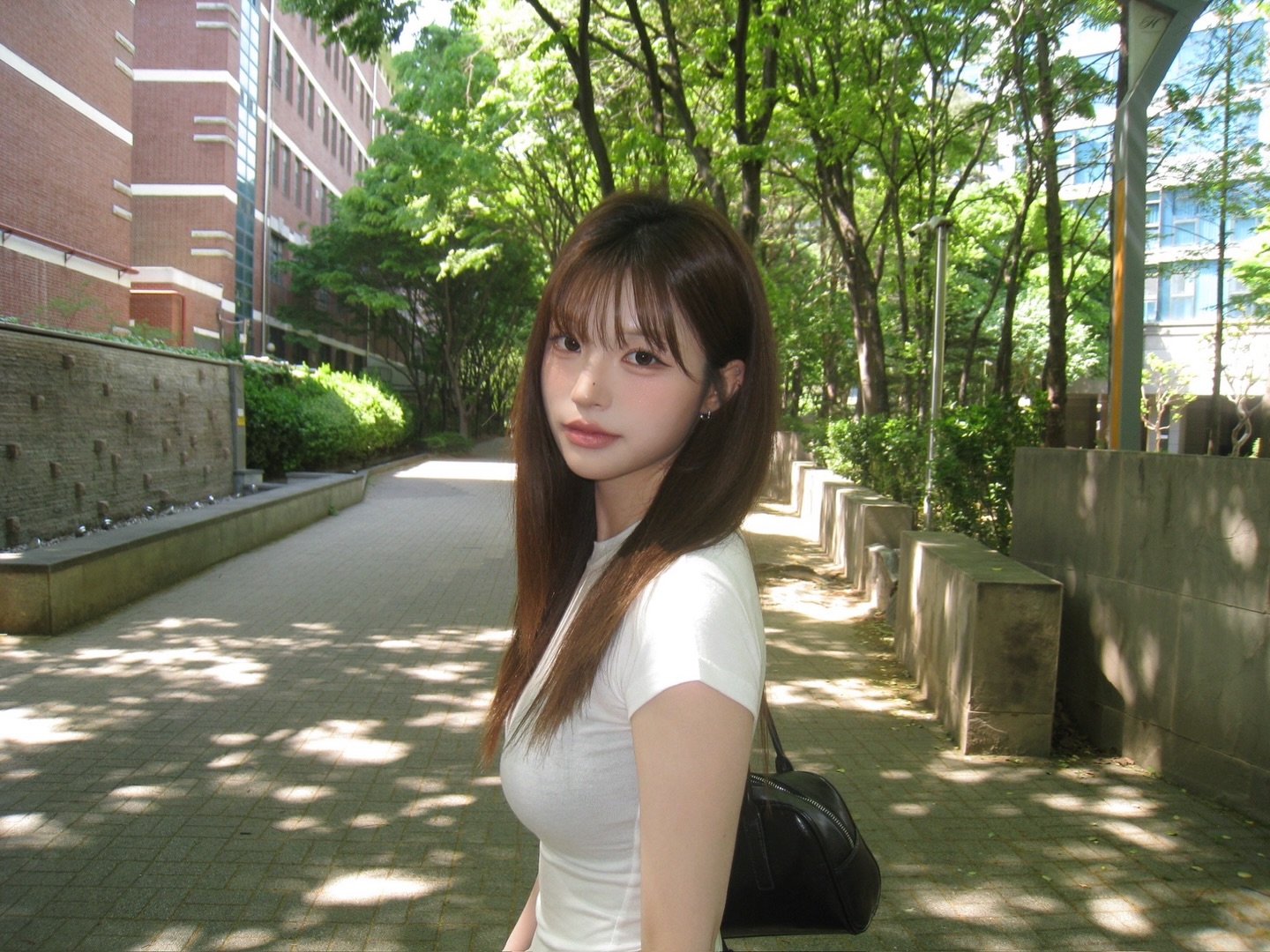 라임 사진