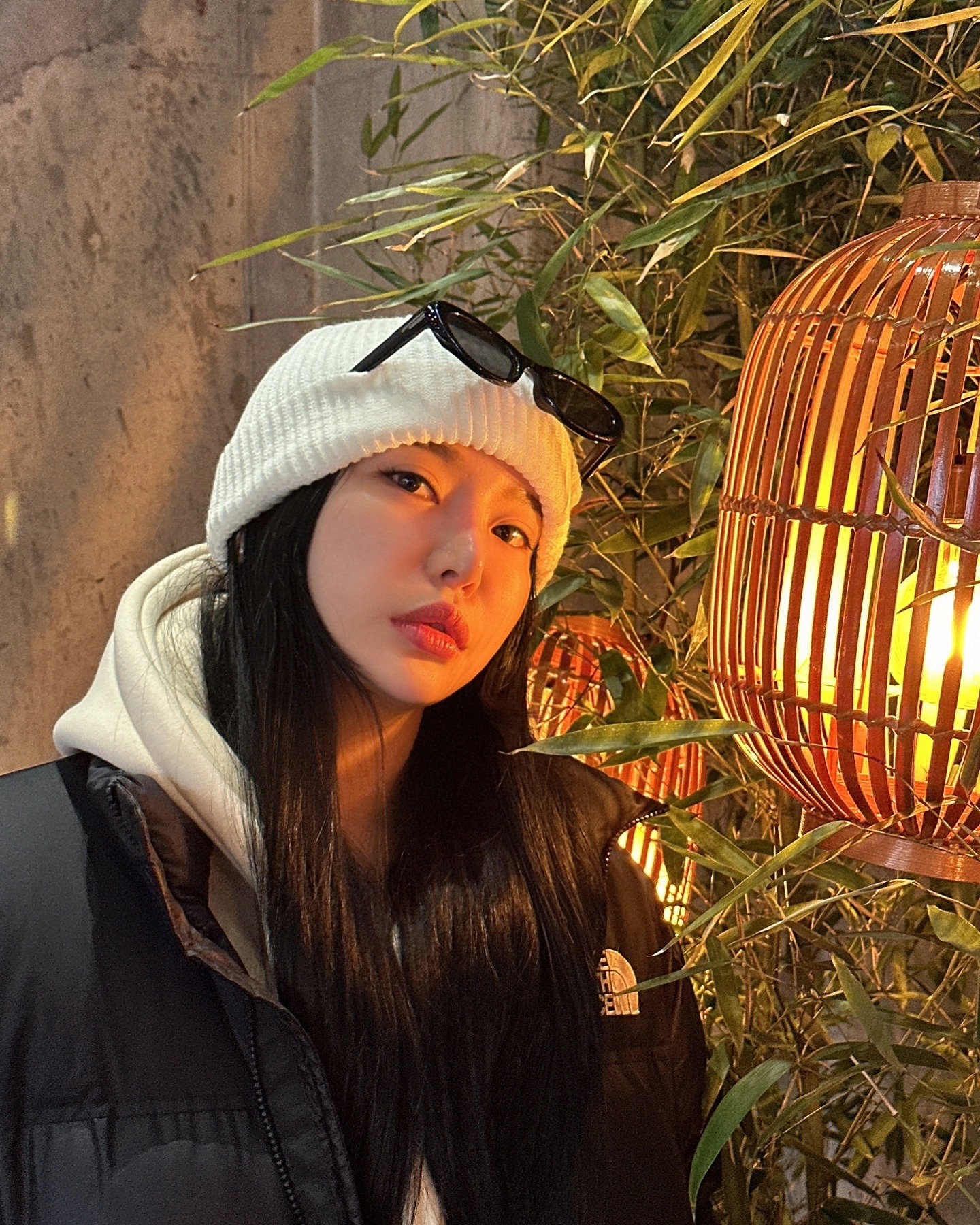 해리 사진